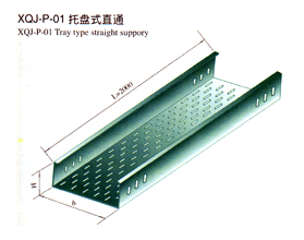 XQJ-P-01ʽֱͨ